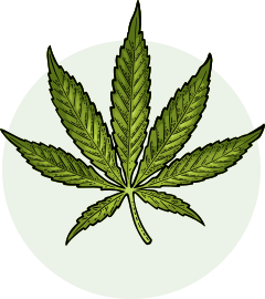 Cannabis Blatt